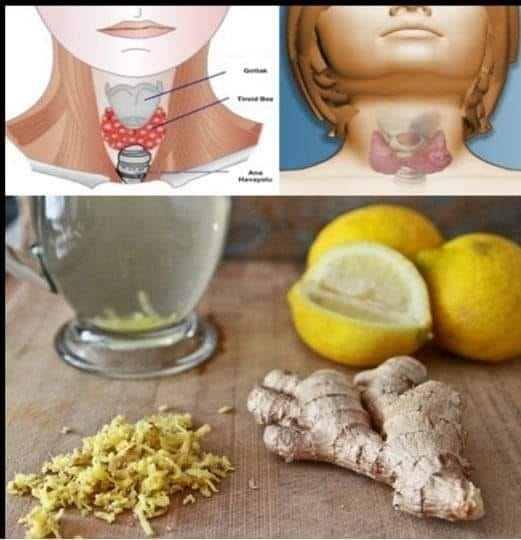 Acqua allo zenzero: la bevanda più sana per bruciare i grassi da vita, schiena e cosce