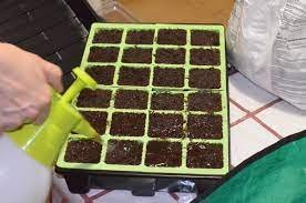 Aggiungetelo ai pomodori dopo la semina per migliorare lo sviluppo delle radici e l’assorbimento dei nutrienti!