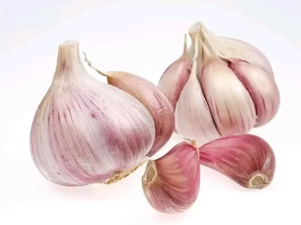 Aglio: 14 segreti che non conosci ancora