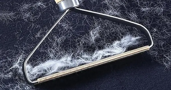 Aloe vera: come coltivarla in casa per averne una scorta infinita