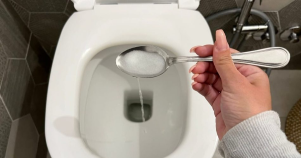 Bagno profumato per più giorni: basta versare questi 2 ingredienti nel wc