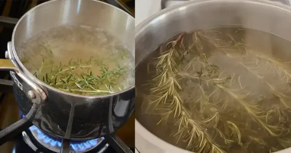 Bollire il rosmarino per 10 minuti: svelarne i benefici e gli effetti