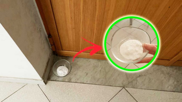 COME ASSORBIRE L’UMIDITÀ IN CASA SENZA DEUMIDIFICATORE