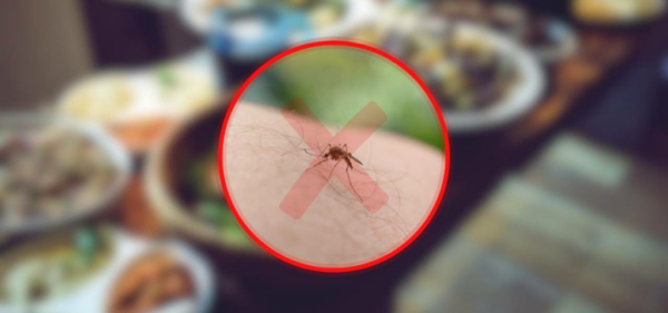 CON QUESTO FRUTTO IN TAVOLA LE ZANZARE VI LASCERANNO IN SOLA A PRANZO E A CENA