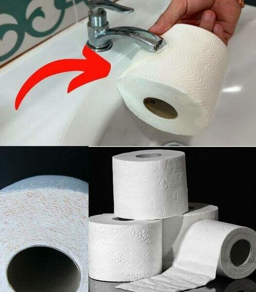 Carta igienica, i più grandi hotel di lusso ci nascondono questo brillante consiglio