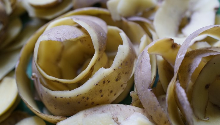 Bucce di patate - fertilizzante per orchidee