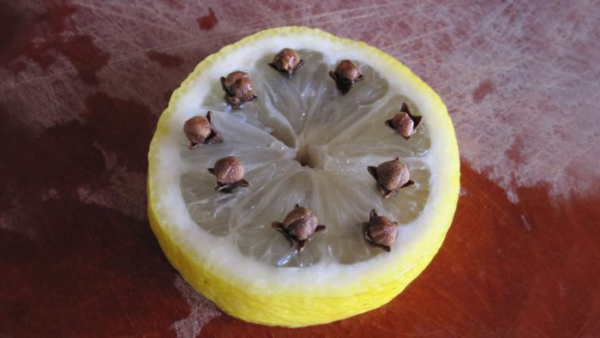 Come coltivare i tulipani nell’acqua e avere fiori tutto l’anno