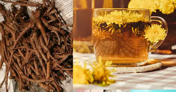 Come coltivare l’anguria in casa con vecchi pneumatici riciclati