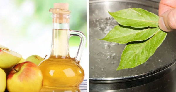 Come eliminare l’odore di fritto con metodi naturali fai da te.