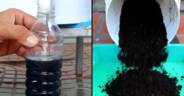 Come fare il compost di scarti di cucina e il fertilizzante liquido in casa – Un processo 2-in-1