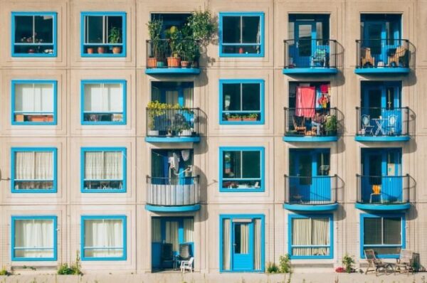 Come mantenere il vostro balcone verde tutto l’anno? Le seguenti piante vi aiuteranno