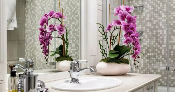 Come mantenere l’Orchidea del bagno sempre bella e piena di fiori?