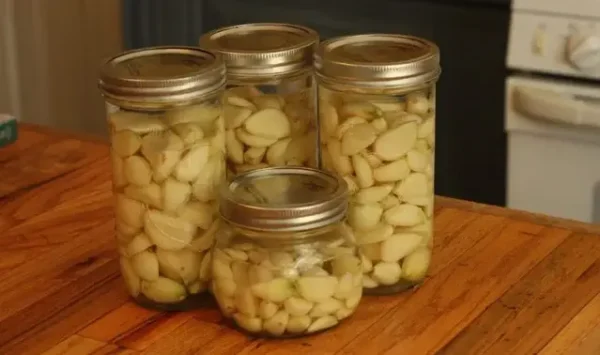 Come mantenere l’aglio sempre fresco e intatto in frigorifero