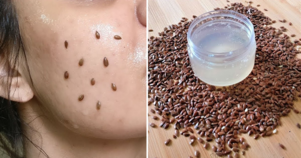 Come preparare un elisir di gioventù con i semi di lino