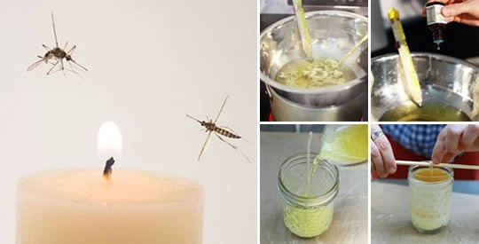 Come realizzare una candela aromatica e repellente per insetti