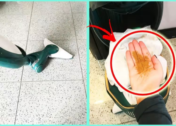 Come rimuovere i cattivi odori dall’aspirapolvere – consigli per evitarli