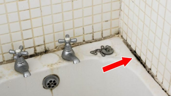 Come rimuovere la muffa dalla vasca da bagno