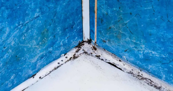 Come rimuovere la muffa dalle fughe delle piastrelle?