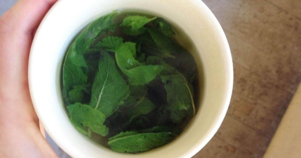 Come rinfrescare l’aria di casa con 1 euro: non spendere soldi per l’aria condizionata