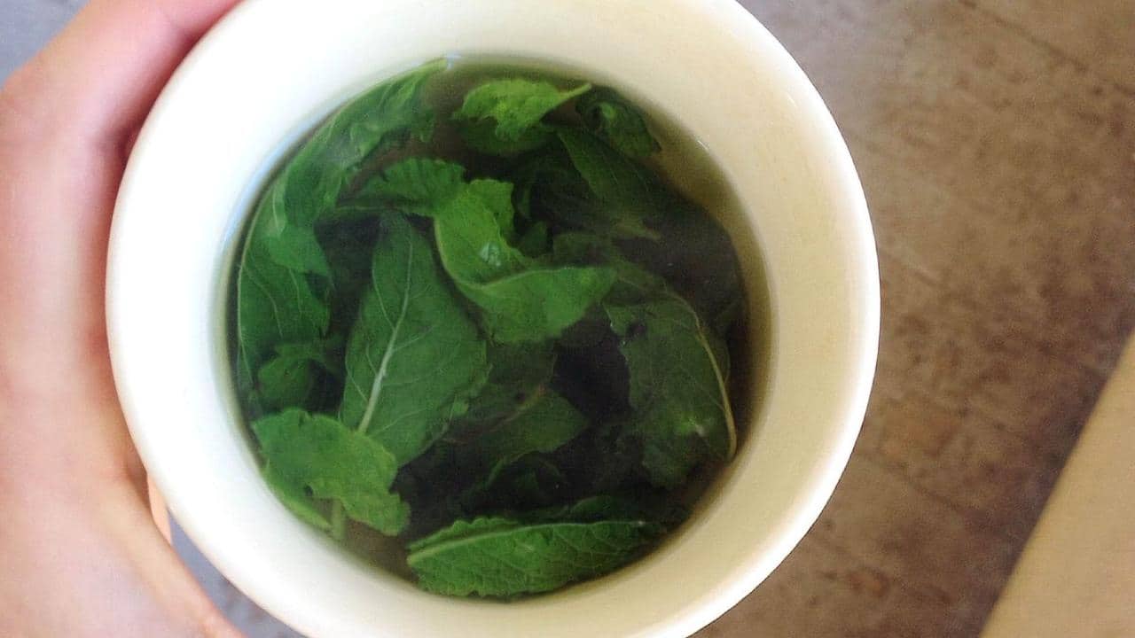 Menta nell'acqua