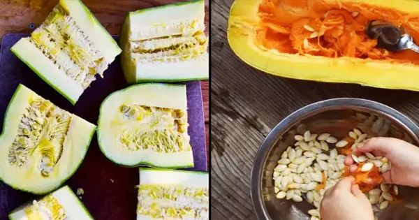 Come salvare i semi di zucchine