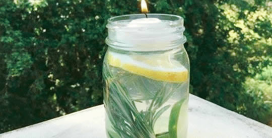 Come tenere lontane le zanzare per sempre con 3 ingredienti naturali