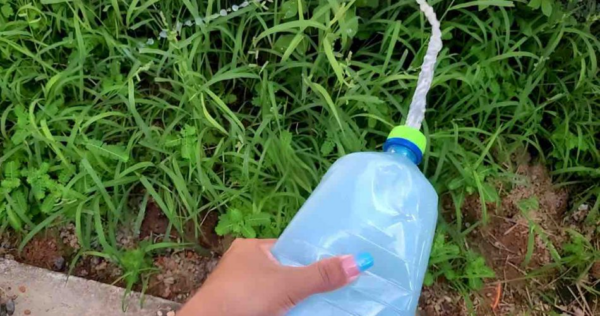 Con 50 centesimi puoi eliminare tutte le erbacce del tuo giardino e del tuo orto: qui ti spieghiamo come eliminarle