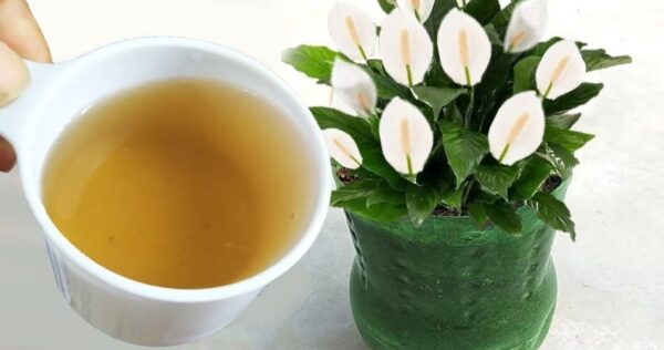 Con questo fertilizzante naturale avrete un carico di fiori tutto l’anno a costo zero