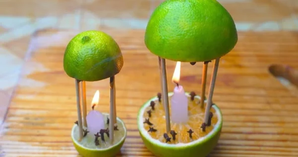 Con questo rimedio non solo profumerete la vostra casa, ma le zanzare non torneranno più.