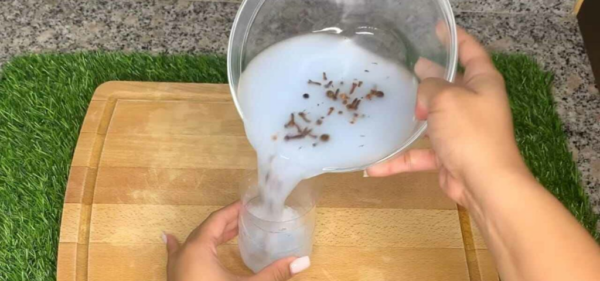 Con questo trucco nessuna zanzara ti morderà e la casa profumerà costantemente