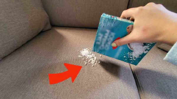 Cospargete una manciata di sale sul divano e ammirate il risultato.