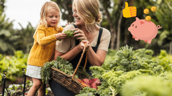 Cucina e giardino: 7 consigli per un giardinaggio economico
