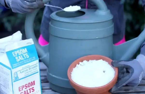 Cucina e giardino: scoprite i tanti benefici del sale di Epsom!