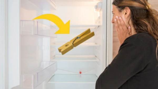 Da quando ho messo una molletta nel frigorifero ho risolto tutto un problema.