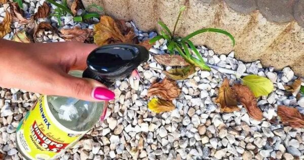 Diserbante forte: 11 consigli per uccidere le erbacce