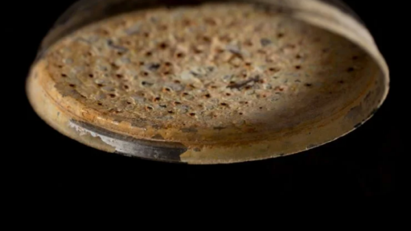 Doccia incrostata: fallo e liberati del calcare per sempre