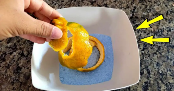 Dopo aver scoperto questo segreto, finalmente smetterai di spendere così tanti soldi