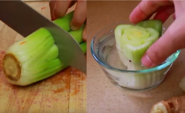 Dopo aver visto questi consigli, non butterete più via la frutta e la verdura avanzata!