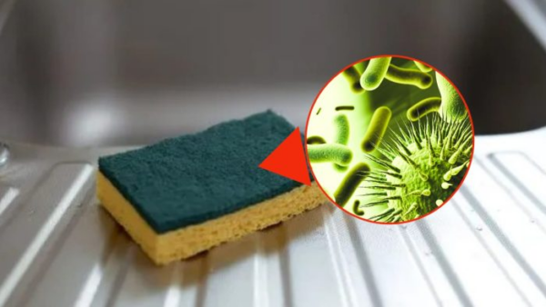 Dopo quanti giorni buttare la spugna per i piatti? Ci sono più batteri di una toilette