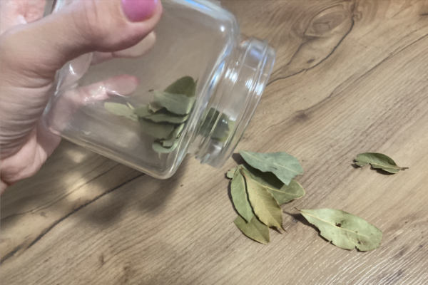 Dopo questo fertilizzante naturale, anche una pianta da interno o da balcone indebolita e ingiallita riprenderà vita: un eccellente stimolatore di vita!