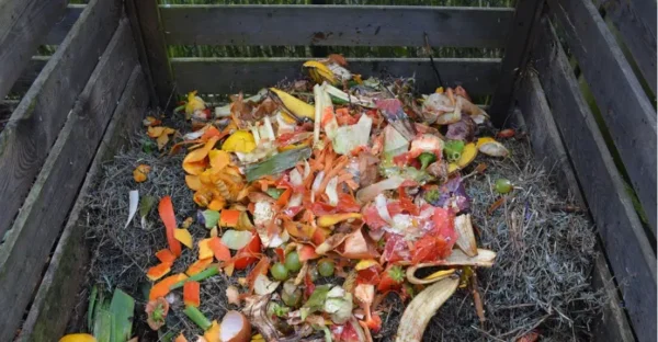 Ecco 7 cose sorprendenti e insospettabili che si possono mettere nel compost.