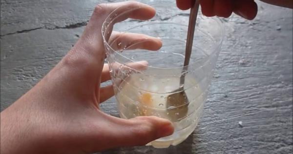 Ecco come realizzare in casa una trappola per mosche e zanzare: bastano pochi minuti.