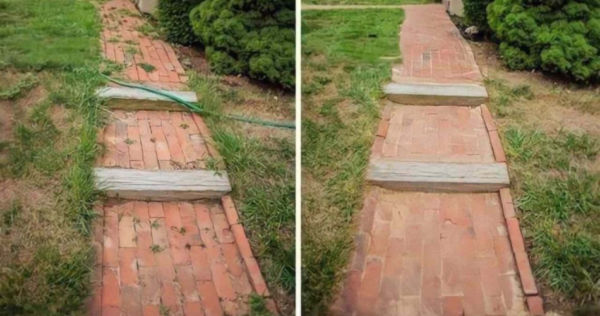 Efficace e semplice da preparare: questo erbicida fa sparire tutte le erbacce