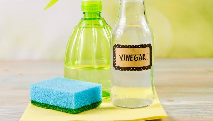 Rimedio naturale all'aceto