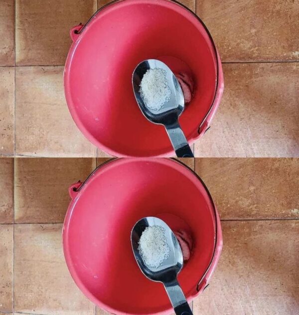 Elimina istantaneamente gli odori sgradevoli – anche i vicini noteranno l’odore Dettagli Primo commento