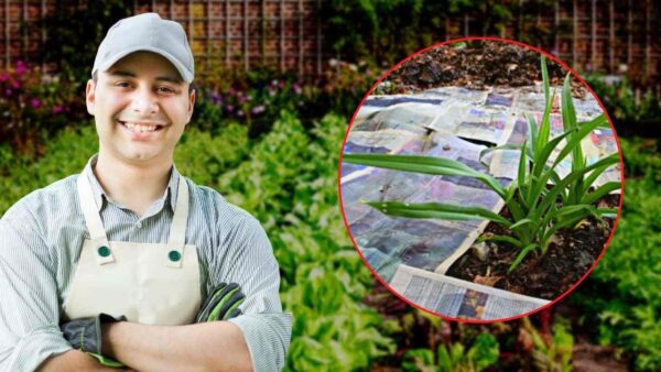 FOGLIE DI GIORNALE IN GIARDINO, NON AVETE IDEA DI COSA STIA SUCCEDENDO: LO FARETE OGNI GIORNO