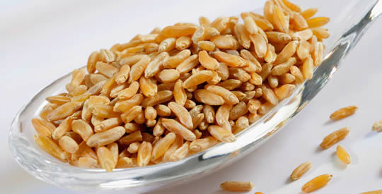 Farro: il cereale che cura il diabete, aiuta a perdere peso e combatte la stitichezza