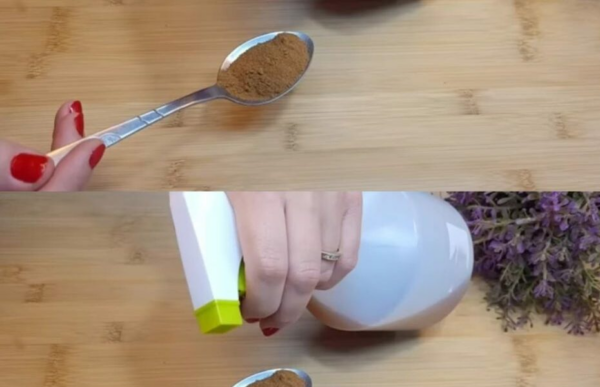 Fatelo da soli e mosche e zanzare saranno solo un brutto ricordo in casa.