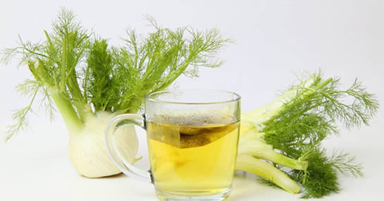 Finocchio: l’ortaggio multivitaminico che abbassa la pressione sanguigna, cura l’anemia ed elimina l’alitosi