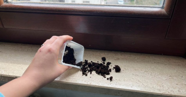 Fondi di caffè sui davanzali: risolve un problema molto comune